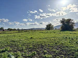Pasture and mountain views