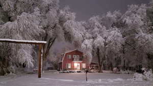 Front yard in winter