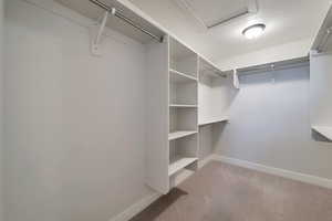 Spacious closet featuring carpet floors