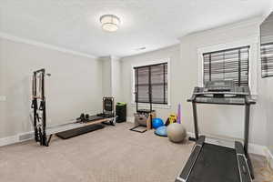 Workout area featuring baseboards, ornamental molding, carpet flooring, and a textured ceiling