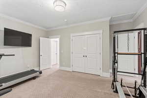 Exercise room featuring baseboards, light colored carpet, and crown molding