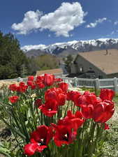 Details with a mountain view and fence