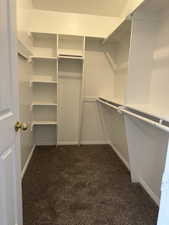 Walk in closet featuring dark carpet