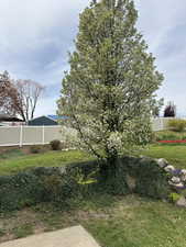 View of yard featuring fence