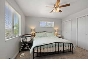 Bedroom featuring visible vents, carpet flooring, and multiple windows
