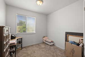 Interior space with baseboards, a textured ceiling, and carpet
