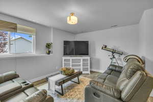 Lower level family room.