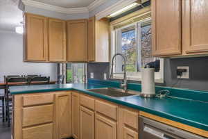 Kitchen with dishwasher, a peninsula, crown molding, and a sink