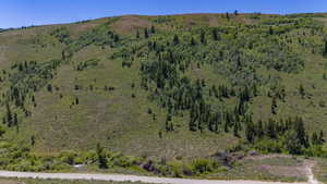 Bird's eye view with a forest view