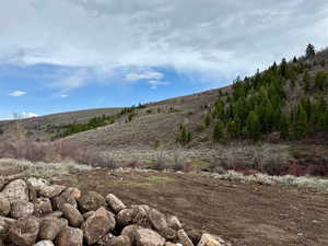 View of nature featuring a mountain view