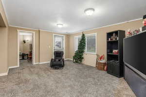 Sitting room featuring carpet floors, crown molding, and baseboards