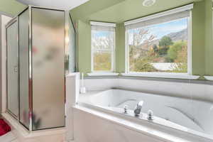 Full bath with a whirlpool tub, a mountain view, and a stall shower