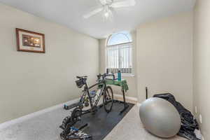 Workout area featuring baseboards, a ceiling fan, and carpet flooring