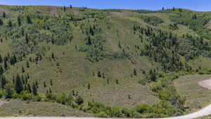 Birds eye view of property featuring a forest view