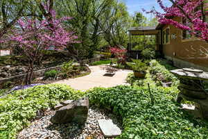 View of yard with a patio
