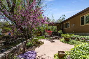 View of yard with a patio area