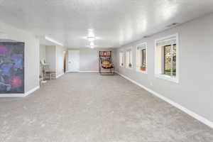 Below grade area with baseboards, visible vents, carpet floors, and a textured ceiling