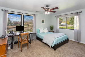 Carpeted bedroom with baseboards and multiple windows