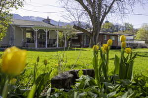 Rear view of property with fence, a chimney, a yard, and a patio