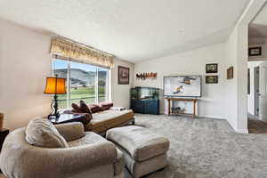 Carpeted living area with visible vents, baseboards, and a textured ceiling