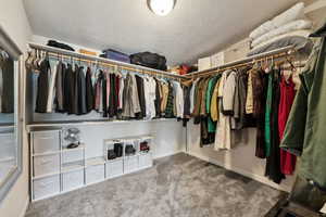 Walk in closet with carpet flooring