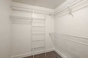 Spacious closet featuring carpet