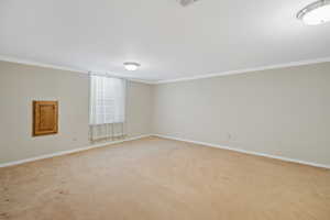Empty room with baseboards, light colored carpet, and crown molding