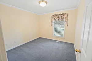 Unfurnished room with baseboards, crown molding, and dark colored carpet