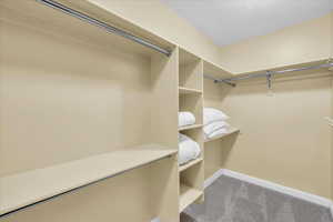Spacious closet featuring carpet floors