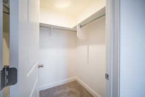 Spacious closet with carpet flooring
