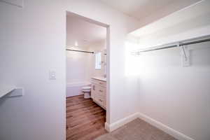 Walk in closet with a sink and light wood finished floors