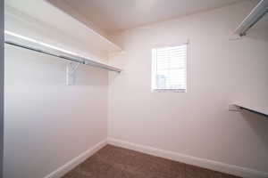 Walk in closet featuring carpet flooring