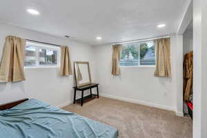 Bedroom with baseboards, carpet flooring, and multiple windows