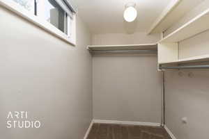 Walk in closet with carpet floors
