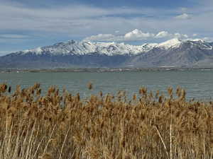 Property view of water with a mountain view