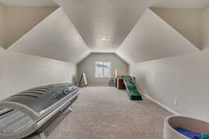 Interior space featuring baseboards, vaulted ceiling, and carpet flooring