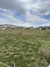View of yard with a rural view and a mountain view