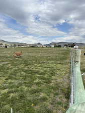 View of yard with a rural view