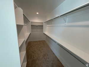 Walk in closet with carpet flooring