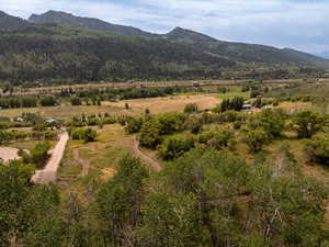 Bird's eye view featuring a mountain view