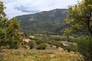 Mountain view featuring a forest view