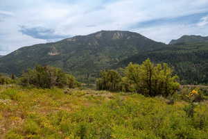 Property view of mountains with a wooded view