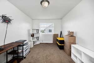 Misc room featuring baseboards and carpet