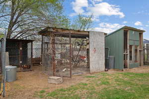 View of poultry coop