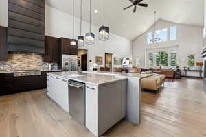 Kitchen featuring light wood finished floors, a sink, dark brown cabinets, modern cabinets, and high vaulted ceiling