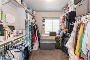 Spacious closet with visible vents and carpet flooring