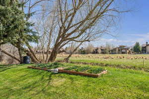 View of yard featuring a garden