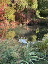 View of nature