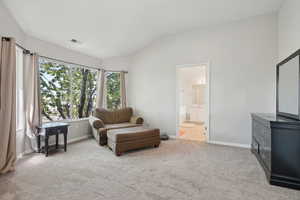 Living area with baseboards, visible vents, lofted ceiling, and carpet
