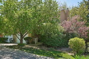 Exterior space with a chimney, concrete driveway, and stone siding